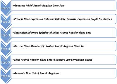 Computing and Applying Atomic Regulons to Understand Gene Expression and Regulation